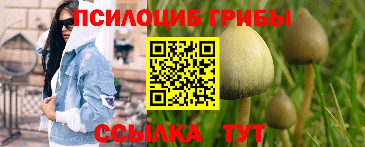 Псилоцибиновые грибы Psilocybine cubensis Ишимбай