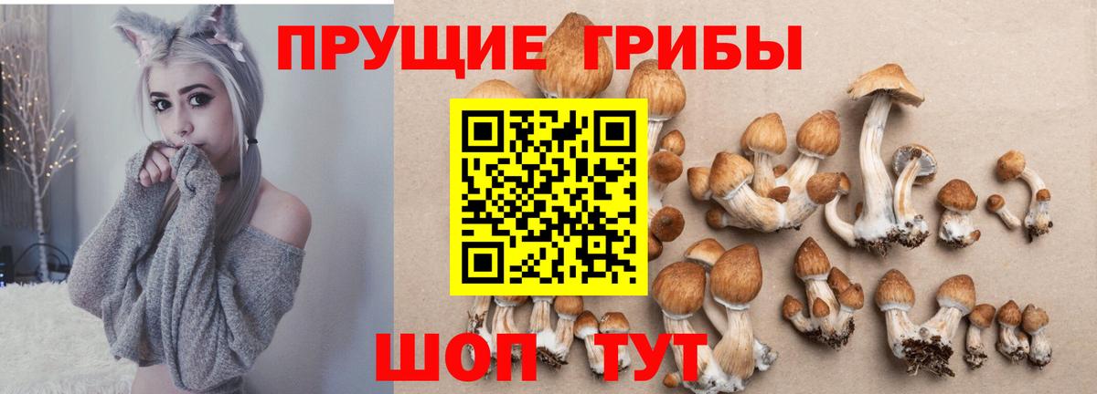 даркнет сайт  Вход с VPN  Ишимбай  Псилоцибиновые грибы Cubensis 
